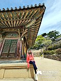 Tour a Corea Primavera