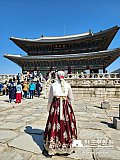 Tour a Corea Primavera