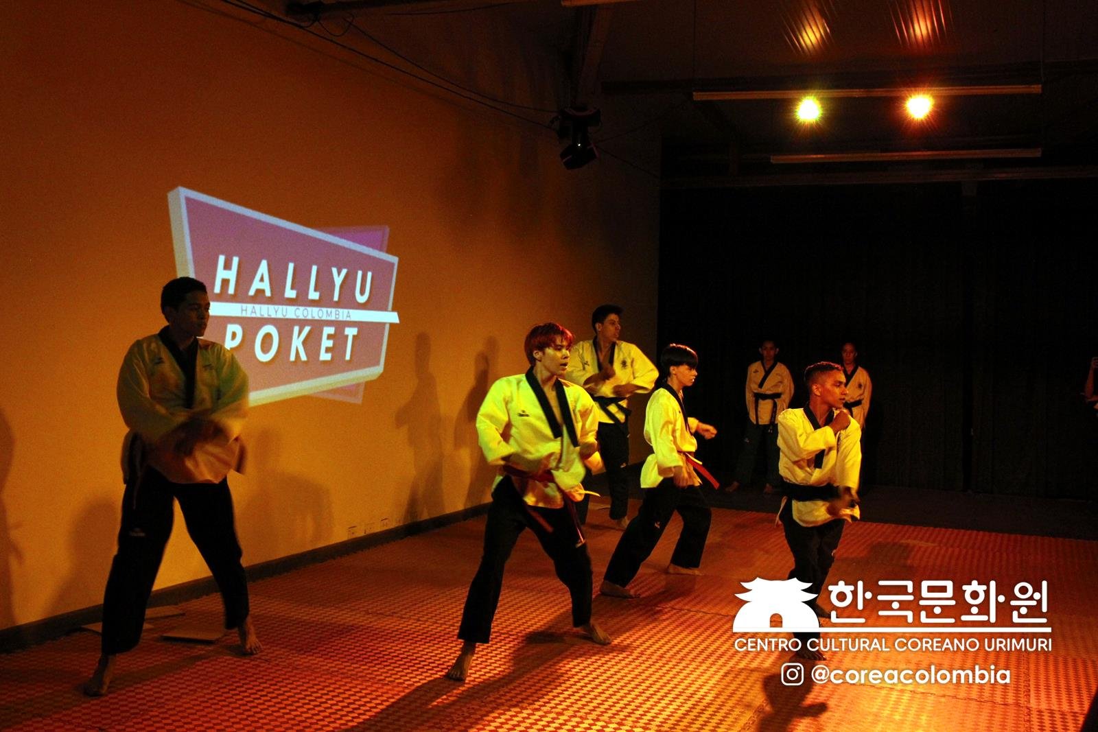 Festival Hallyu 2019