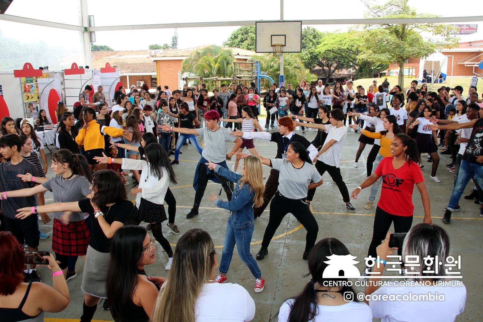 Festival Hallyu 2019