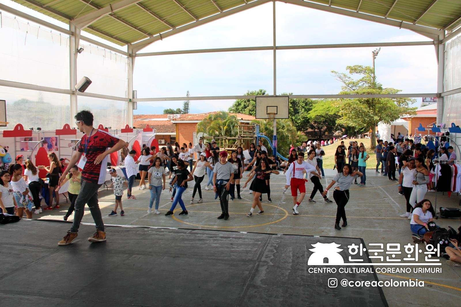 Festival Hallyu 2019