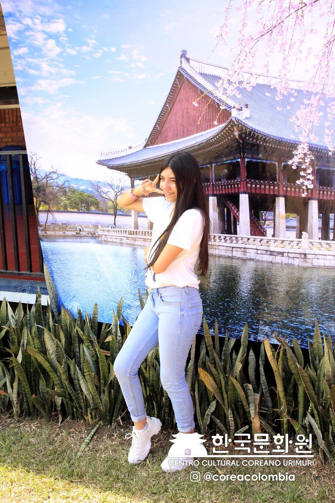 Festival Hallyu 2019